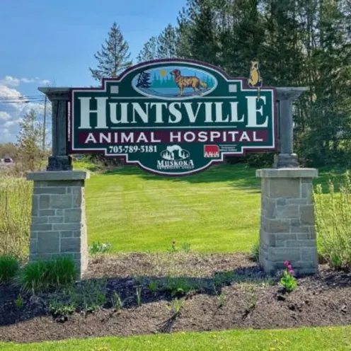 Huntsville Animal Hospital Sign (Outdoors)